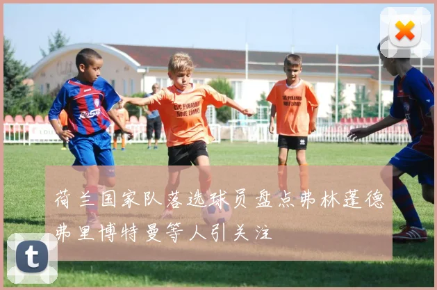 荷兰国家队落选球员盘点弗林蓬德弗里博特曼等人引关注