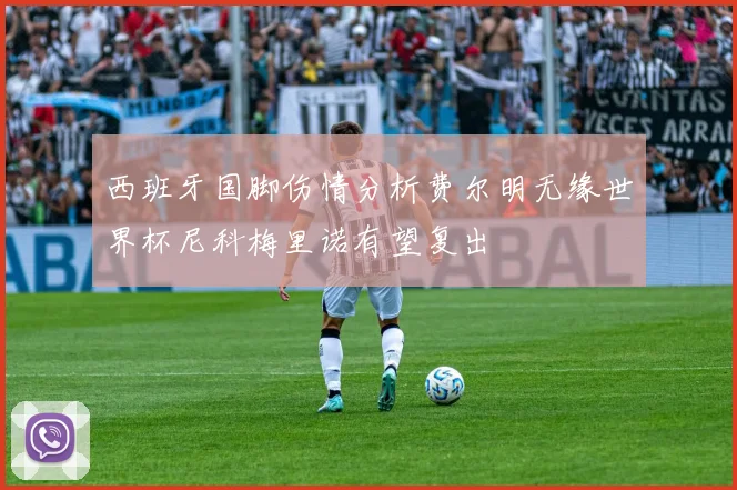 西班牙国脚伤情分析费尔明无缘世界杯尼科梅里诺有望复出