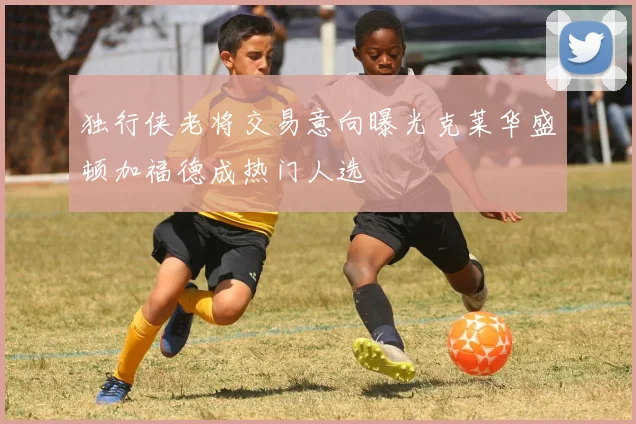 独行侠老将交易意向曝光克莱华盛顿加福德成热门人选
